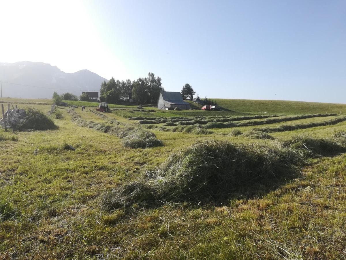 Organic Family Farm Hotel Zabljak  Bagian luar foto