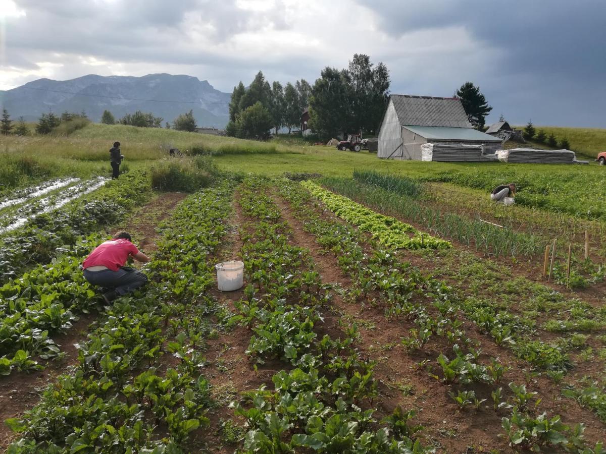Organic Family Farm Hotel Zabljak  Bagian luar foto