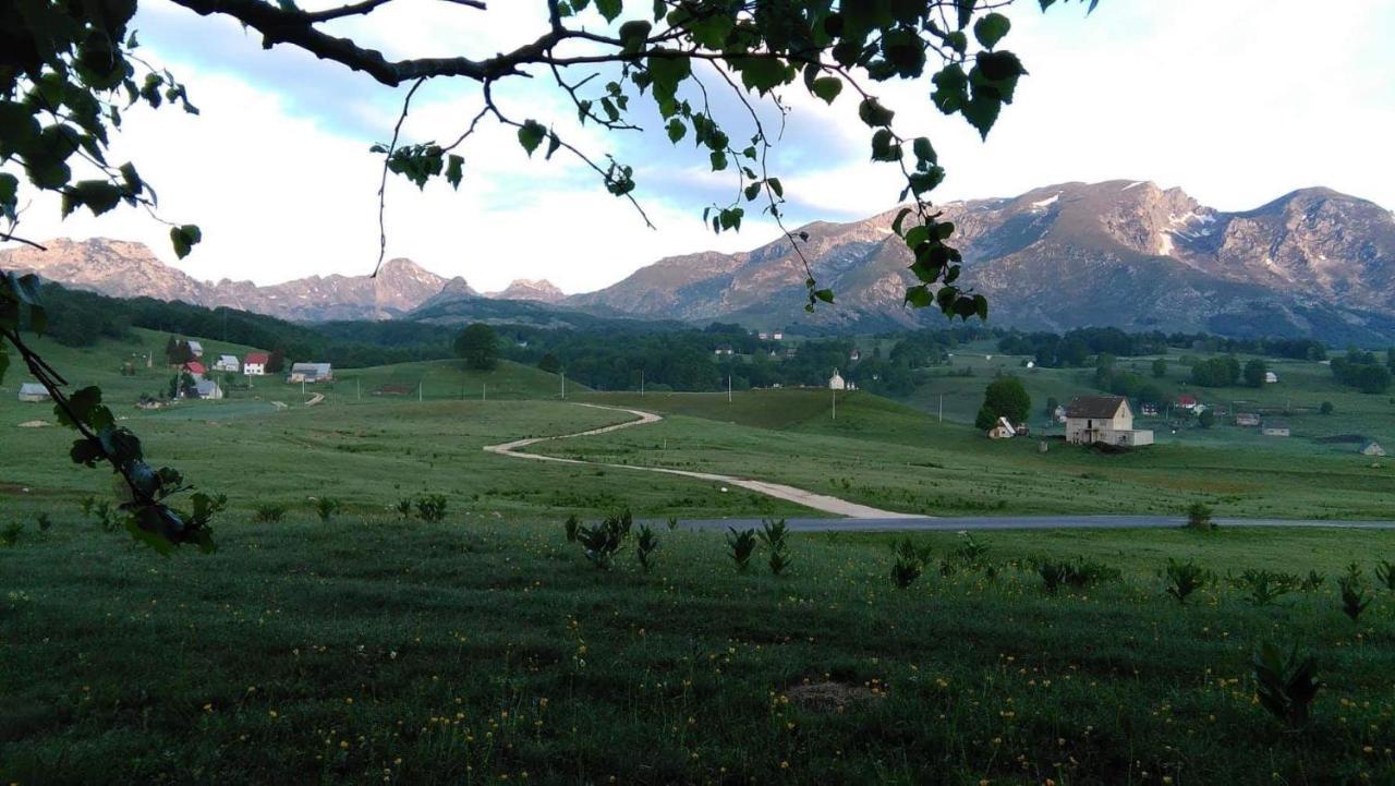 Organic Family Farm Hotel Zabljak  Bagian luar foto