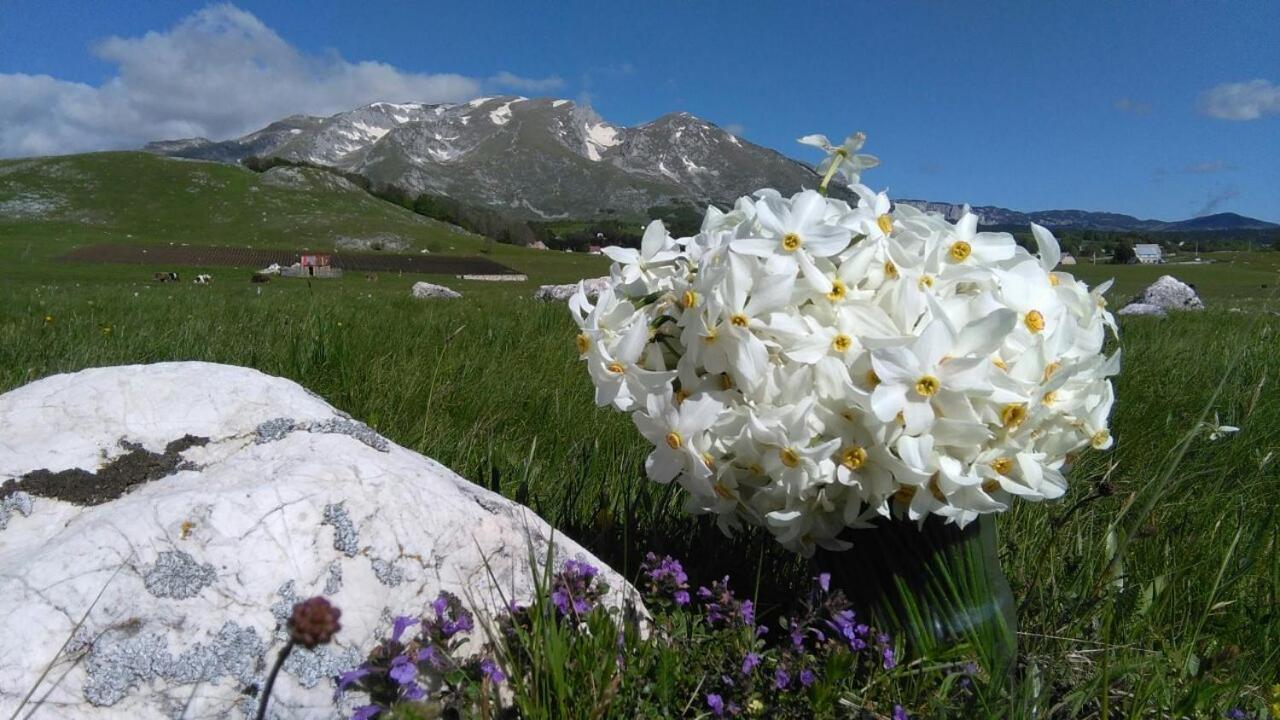 Organic Family Farm Hotel Zabljak  Bagian luar foto