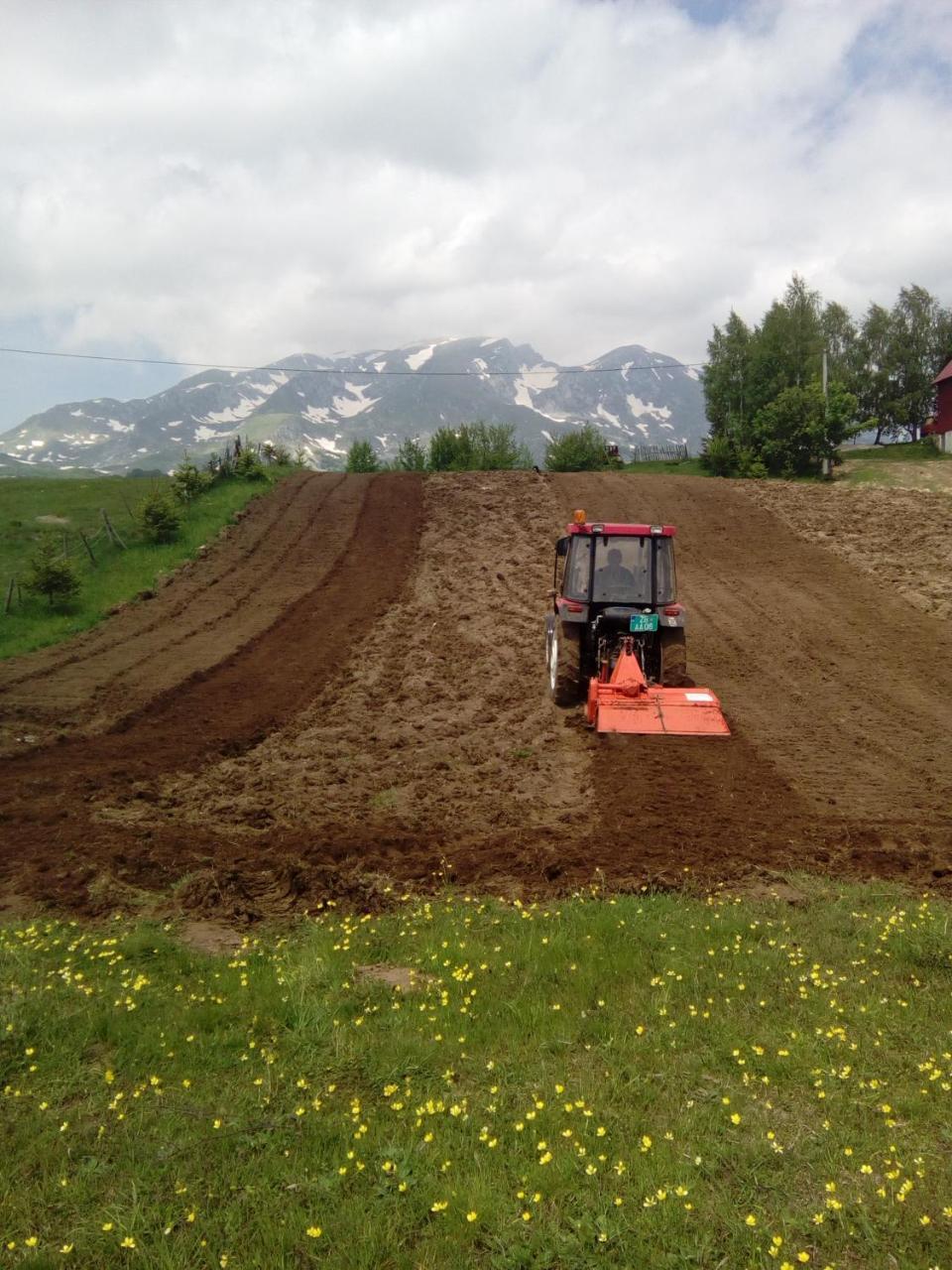 Organic Family Farm Hotel Zabljak  Bagian luar foto